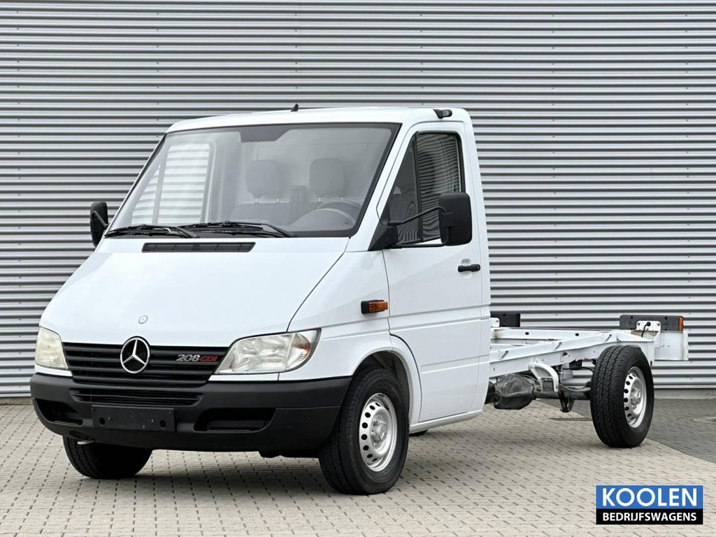 53303481